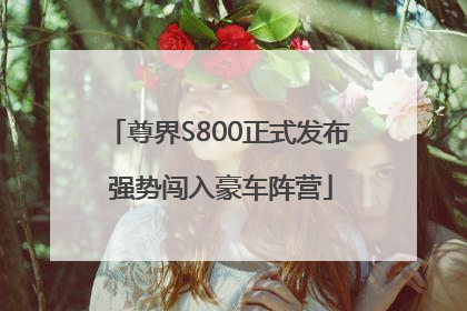 尊界S800正式发布 强势闯入豪车阵营