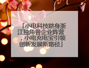 小电科技跻身浙江独角兽企业阵营，小电充电宝引领创新发展新路径