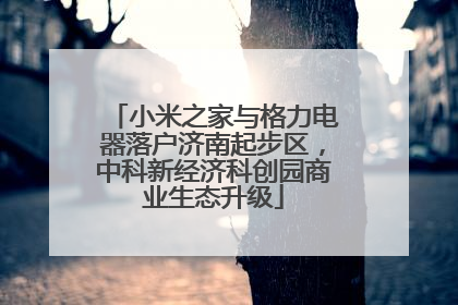 小米之家与格力电器落户济南起步区，中科新经济科创园商业生态升级