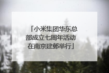 小米集团华东总部成立七周年活动在南京建邺举行