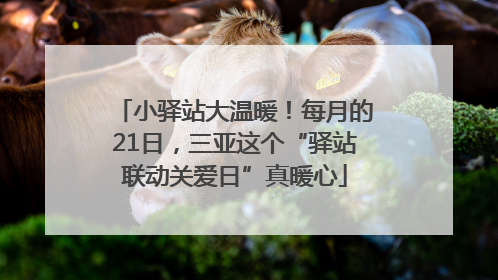 小驿站大温暖！每月的21日，三亚这个“驿站联动关爱日”真暖心