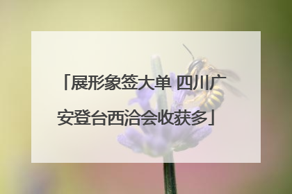 展形象签大单 四川广安登台西洽会收获多