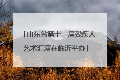 山东省第十一届残疾人艺术汇演在临沂举办