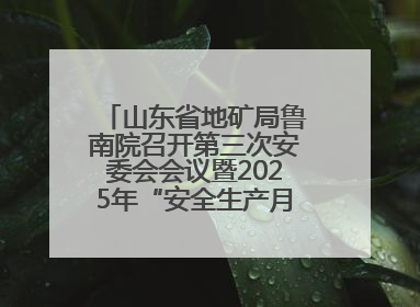 山东省地矿局鲁南院召开第三次安委会会议暨2025年“安全生产月”活动启动仪式