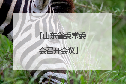 山东省委常委会召开会议