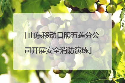 山东移动日照五莲分公司开展安全消防演练