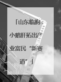 山东临朐：小鹅肝拓出产业富民“新赛道”
