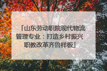 山东劳动职院现代物流管理专业：打造乡村振兴职教改革齐鲁样板