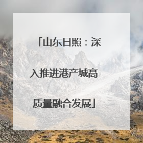 山东日照：深入推进港产城高质量融合发展