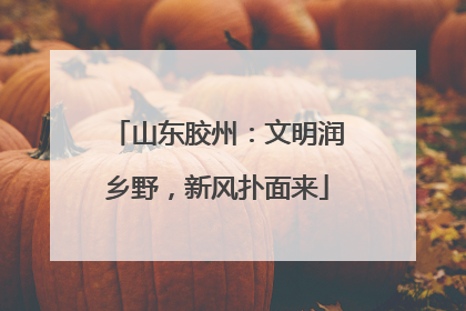 山东胶州：文明润乡野，新风扑面来