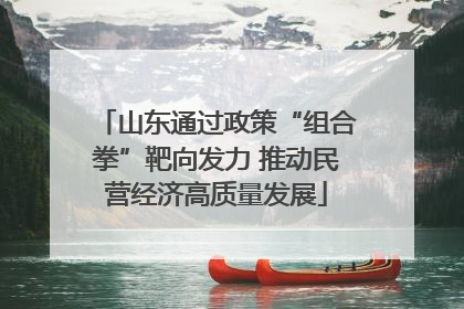 山东通过政策“组合拳”靶向发力 推动民营经济高质量发展