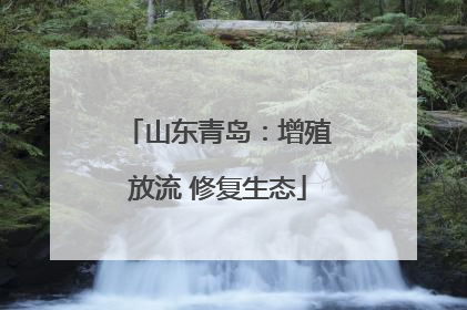 山东青岛：增殖放流 修复生态
