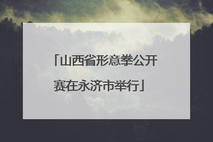 山西省形意拳公开赛在永济市举行