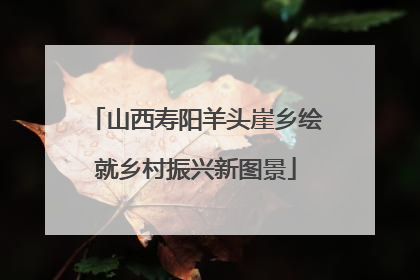 山西寿阳羊头崖乡绘就乡村振兴新图景