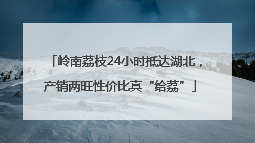 岭南荔枝24小时抵达湖北，产销两旺性价比真“给荔”