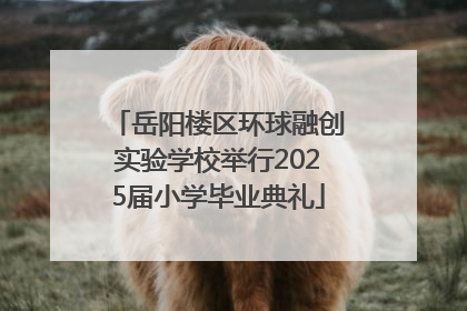 岳阳楼区环球融创实验学校举行2025届小学毕业典礼