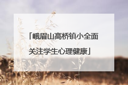 峨眉山高桥镇小全面关注学生心理健康