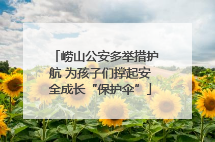 崂山公安多举措护航 为孩子们撑起安全成长“保护伞”