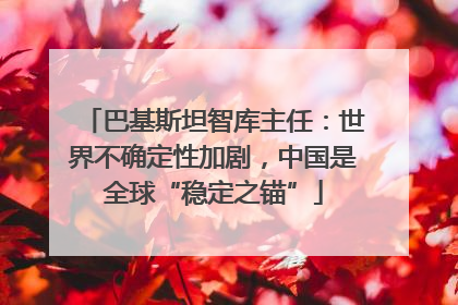 巴基斯坦智库主任：世界不确定性加剧，中国是全球“稳定之锚”