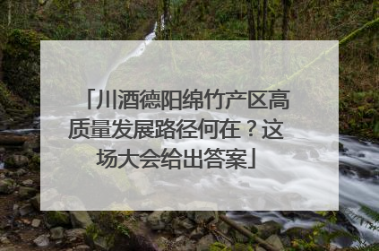 川酒德阳绵竹产区高质量发展路径何在？这场大会给出答案