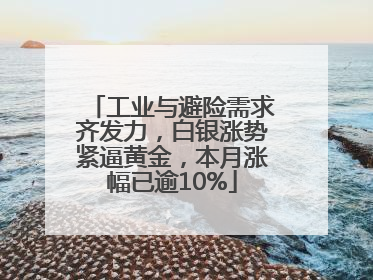 工业与避险需求齐发力，白银涨势紧逼黄金，本月涨幅已逾10%