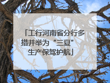 工行河南省分行多措并举为“三夏” 生产保驾护航