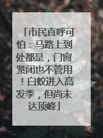 市民直呼可怕：马路上到处都是，门窗紧闭也不管用！白蚁进入高发季，但尚未达顶峰