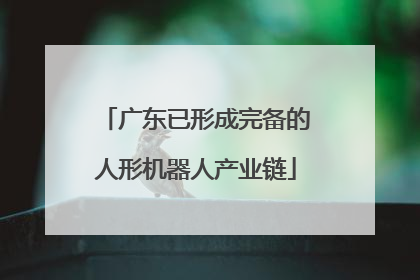广东已形成完备的人形机器人产业链