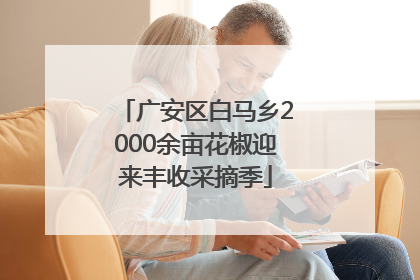广安区白马乡2000余亩花椒迎来丰收采摘季