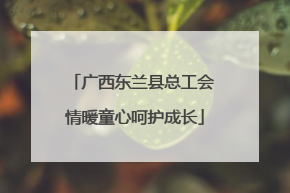 广西东兰县总工会情暖童心呵护成长