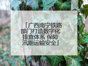 广西南宁铁路部门打造数字化排查体系 保障汛期运输安全