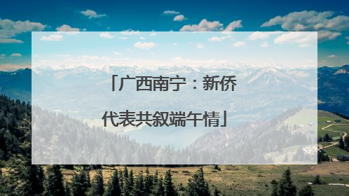 广西南宁：新侨代表共叙端午情