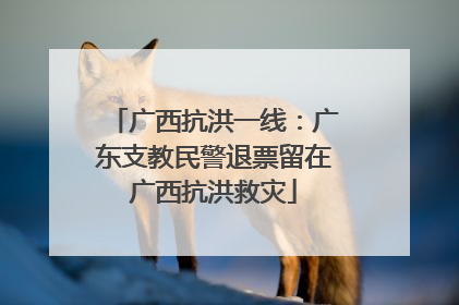 广西抗洪一线：广东支教民警退票留在广西抗洪救灾