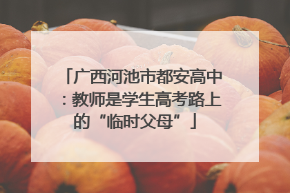 广西河池市都安高中：教师是学生高考路上的“临时父母”