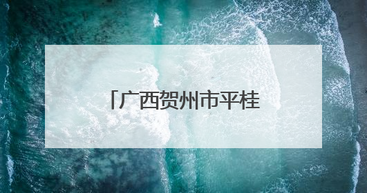 广西贺州市平桂区芳林马蹄专场推介会走进哈尔滨