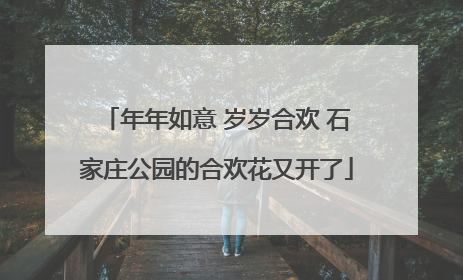 年年如意 岁岁合欢 石家庄公园的合欢花又开了