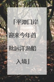 平潭口岸迎来今年首批远洋渔船入境