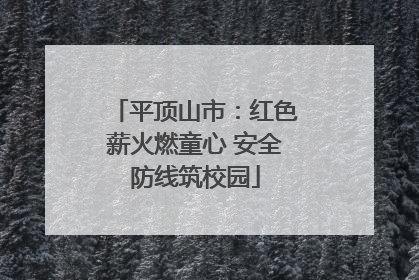 平顶山市：红色薪火燃童心 安全防线筑校园