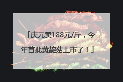 庆元卖188元/斤，今年首批黄靛菇上市了！