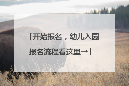 开始报名，幼儿入园报名流程看这里→