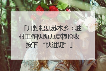 开封杞县苏木乡：驻村工作队助力夏粮抢收按下 “快进键”