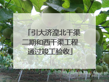 引大济湟北干渠二期和西干渠工程通过竣工验收
