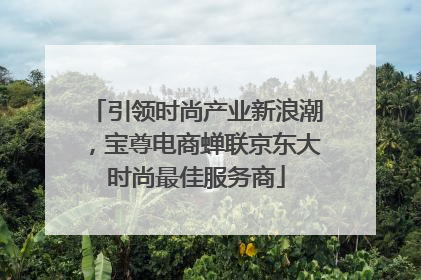 引领时尚产业新浪潮，宝尊电商蝉联京东大时尚最佳服务商