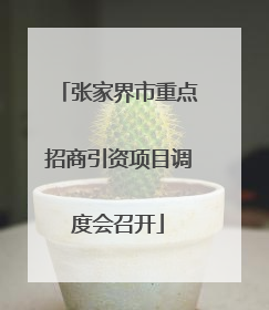 张家界市重点招商引资项目调度会召开
