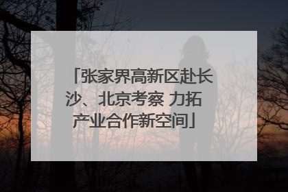 张家界高新区赴长沙、北京考察 力拓产业合作新空间