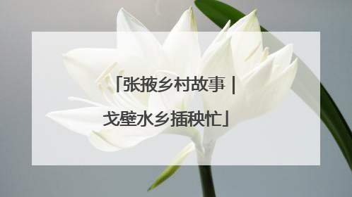 张掖乡村故事｜戈壁水乡插秧忙