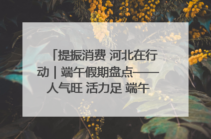 提振消费 河北在行动｜端午假期盘点——人气旺 活力足 端午经济“热浪”迭起
