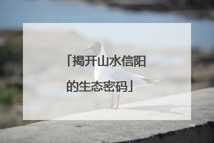 揭开山水信阳的生态密码