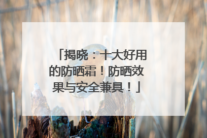揭晓：十大好用的防晒霜！防晒效果与安全兼具！
