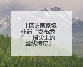 探访国家级非遗“夏布绣”：指尖上的丝线传奇